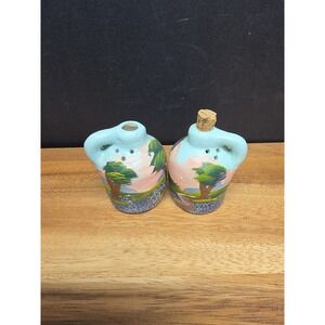 Pottery Jars Handpainted In Texas Salt And Pepper Shakers